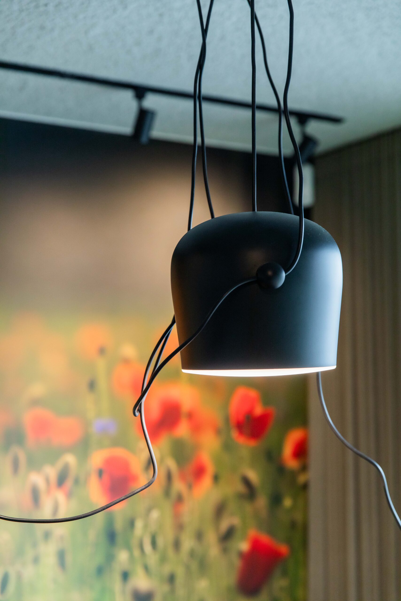 Combidesign-RegiobankGiessenburg-webformaat-byLauraEmma-23 Lamp in kantoorruimte van Regiobank Giessenburg, advies gemaakt door Combi Design
